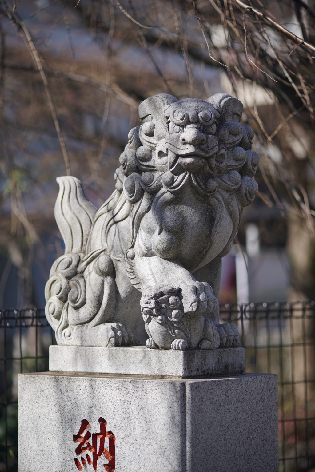 寒梅を求めて近所の神社へ