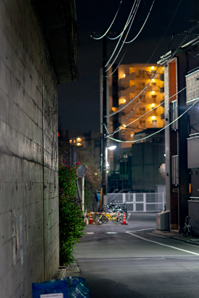 下町の夜景