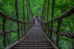 祖谷のかずら橋