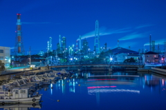 夜のプラントⅣ