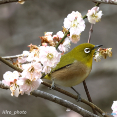 20240224105539_1O8A1431