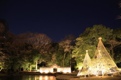 小石川後楽園ライトアップ6