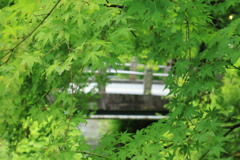 明月院