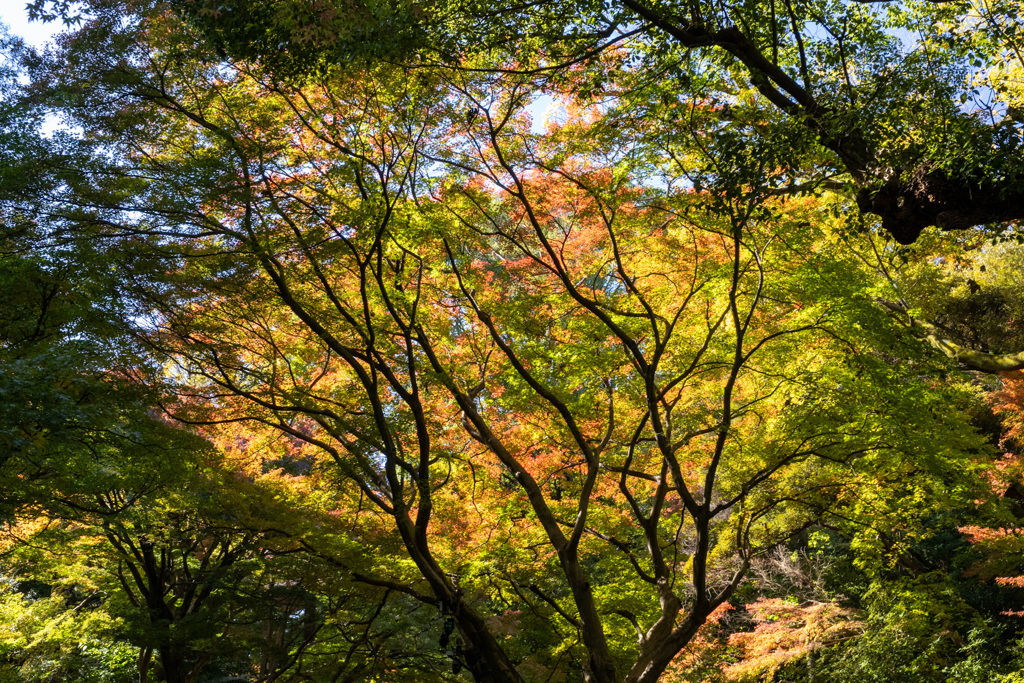 六義園