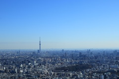 サンシャイン60より