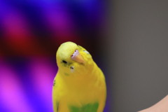 ん？
