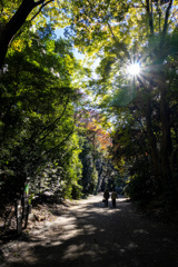 六義園