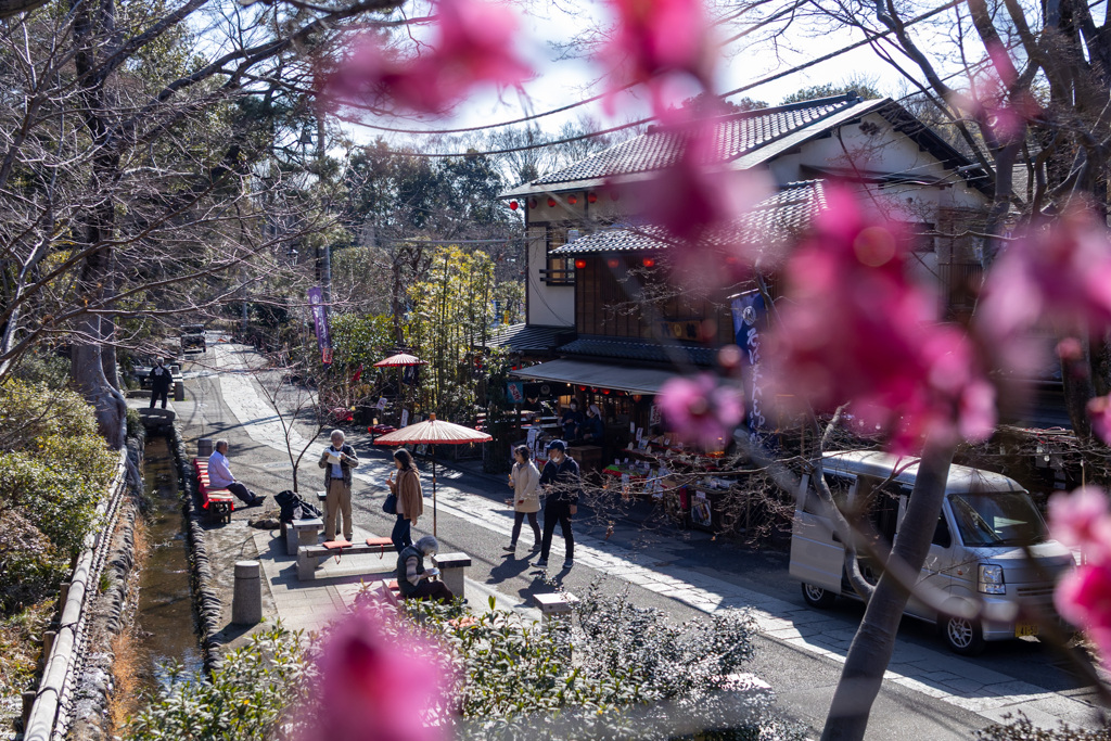 深大寺散歩2