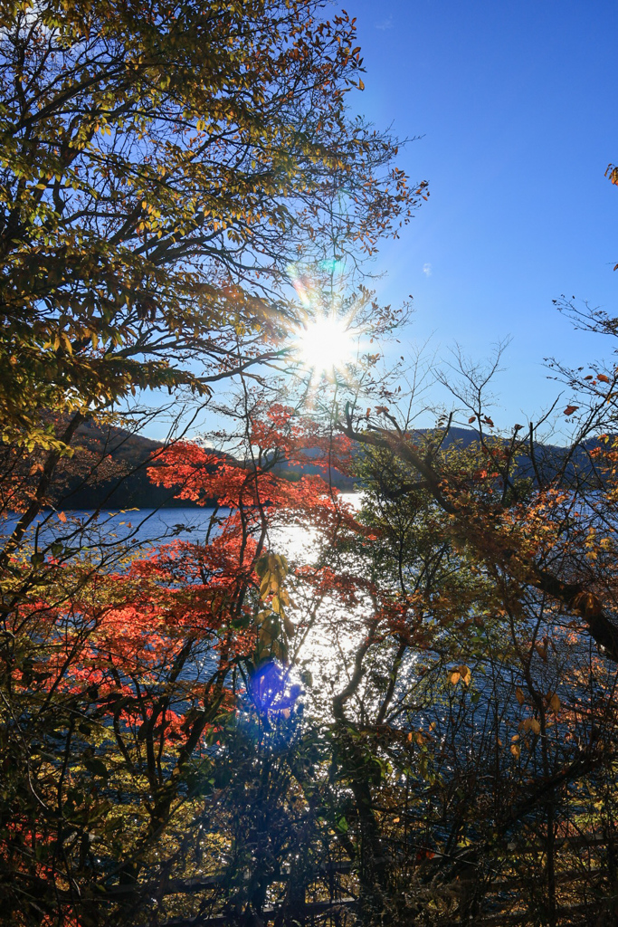 中禅寺湖