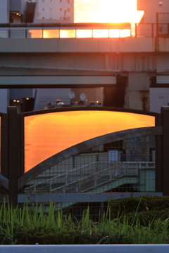 早朝散歩3