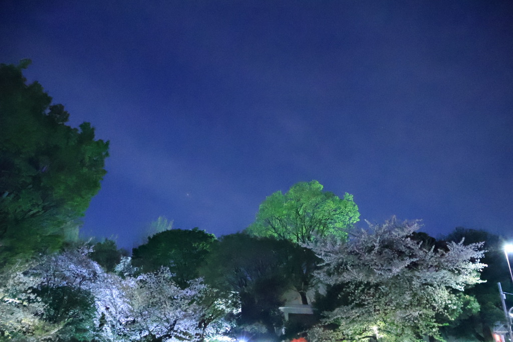 学習院の夜