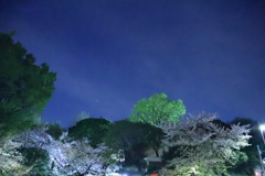 学習院の夜