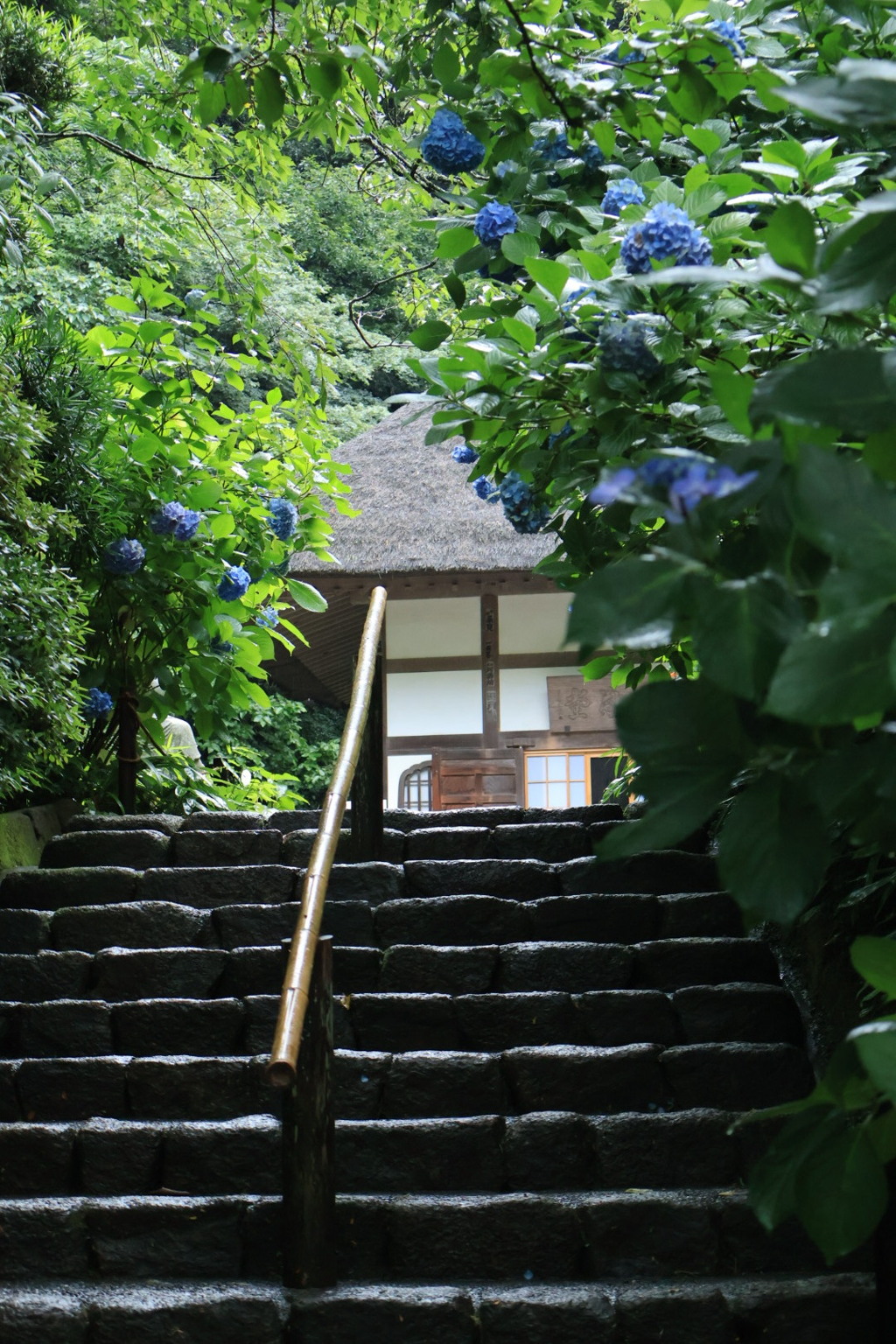 明月院2