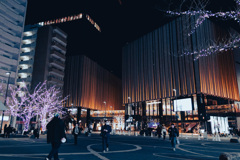 池袋の夜