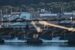 沼津港