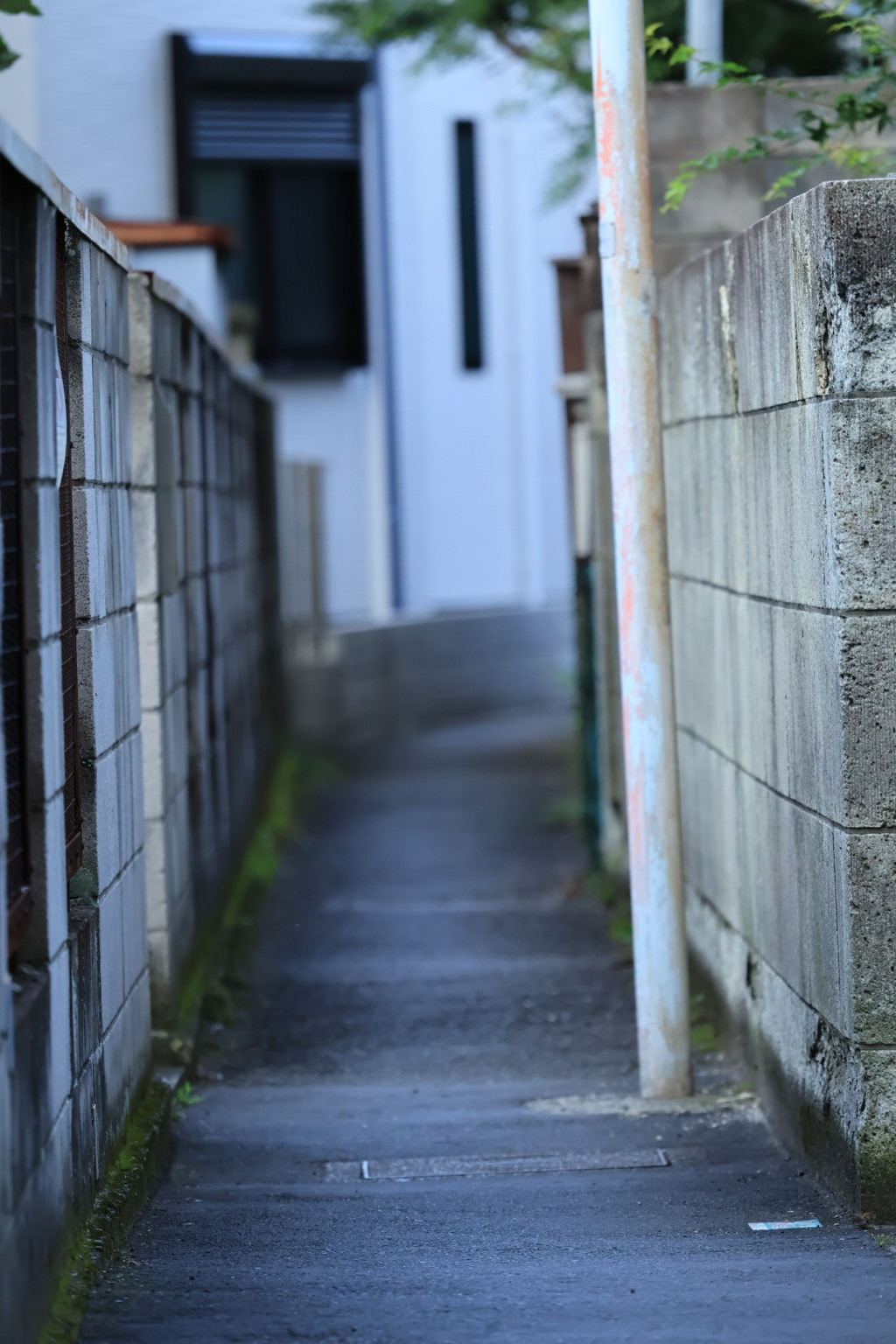 路地