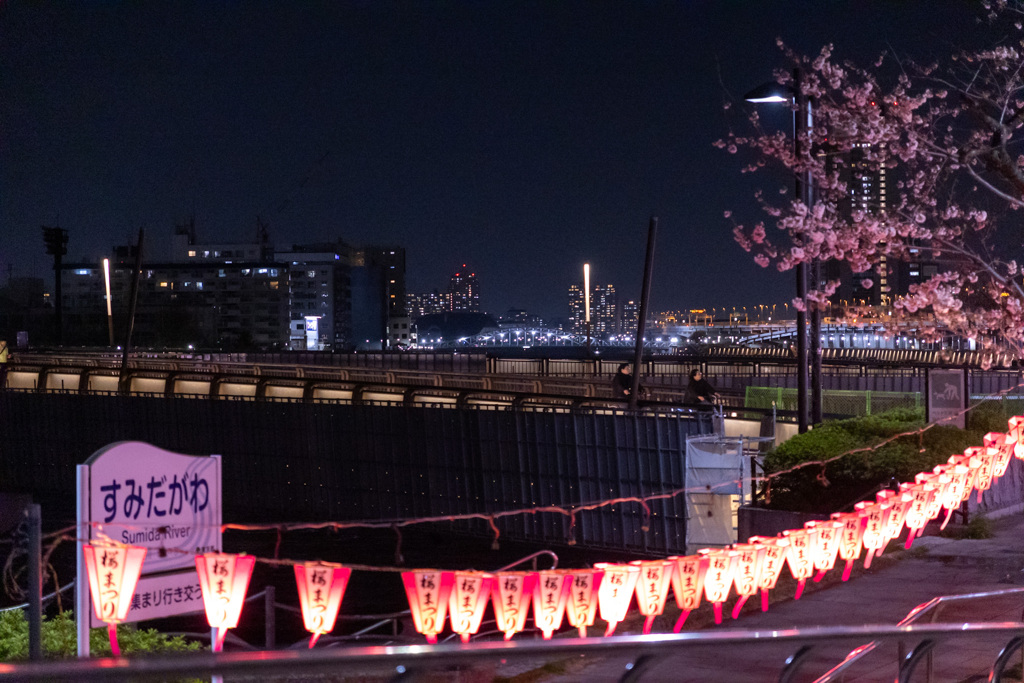 隅田川桜祭り