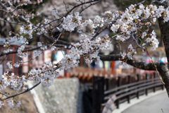 新倉山浅間公園