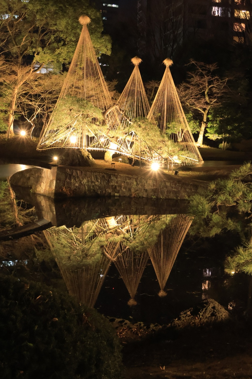 小石川後楽園ライトアップ1