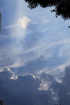 夏の空