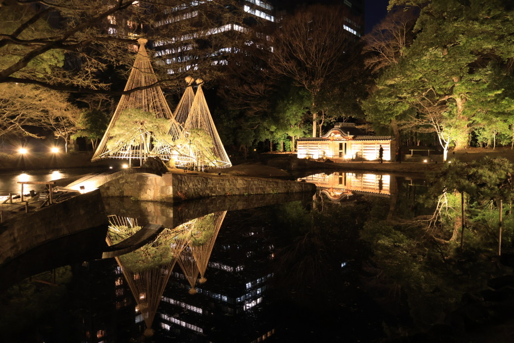 小石川後楽園ライトアップ5