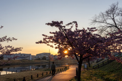 墨田区立旧中川水辺公園