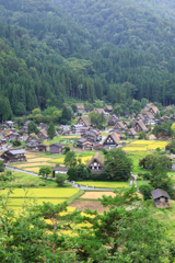 白川郷