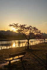 墨田区立旧中川水辺公園