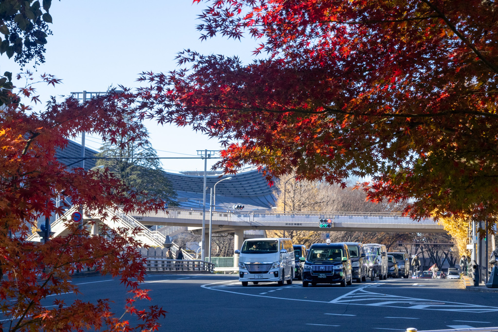 都心の紅葉