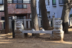 フクロウと一休み