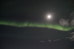 スヴォルヴァーのオーロラ