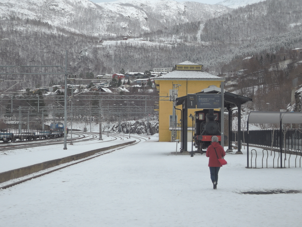 ナルヴィク駅