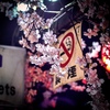 春の思い出