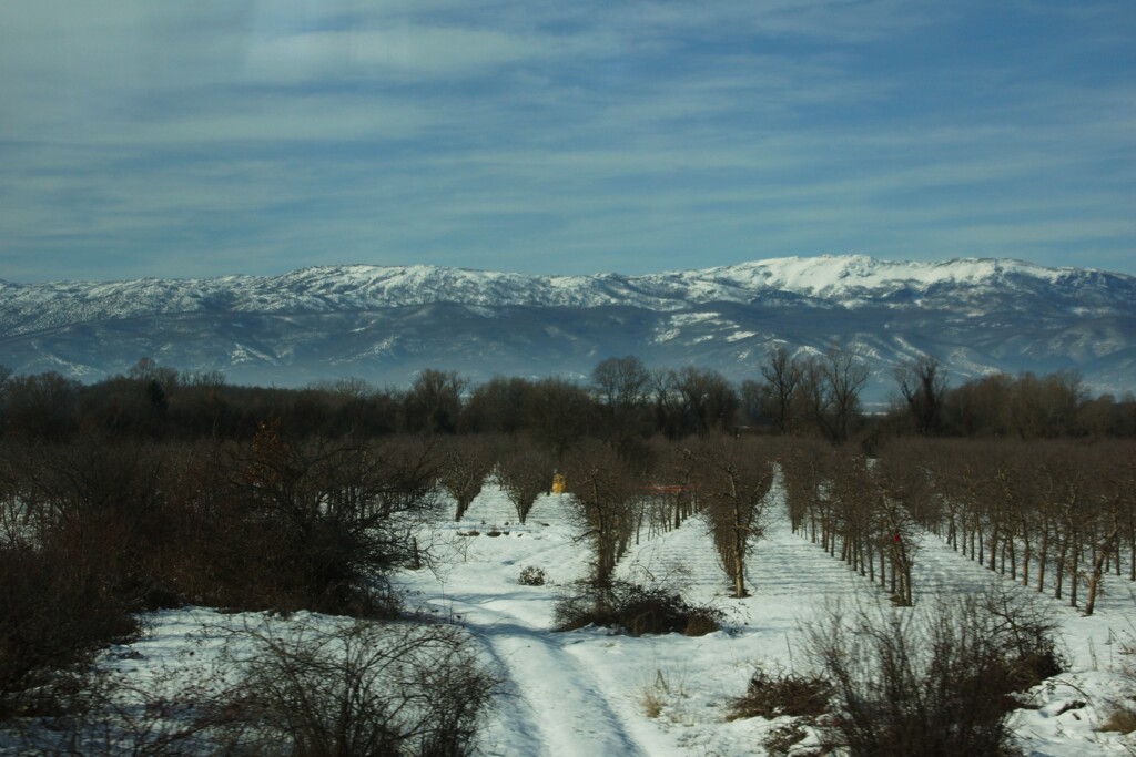 雪山広し
