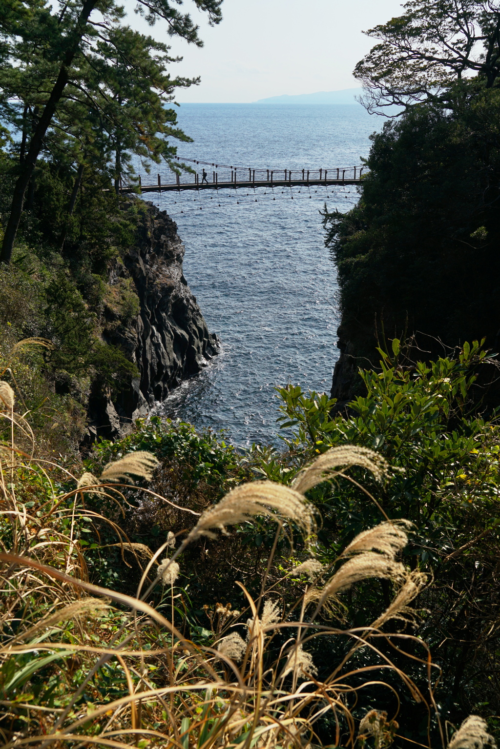 海の吊橋