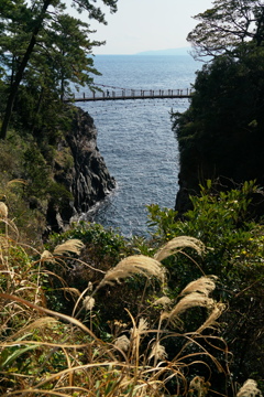 海の吊橋