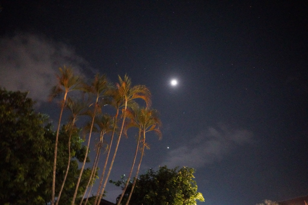 夜空を眺めて