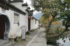 朝の散歩道 朝の散歩道