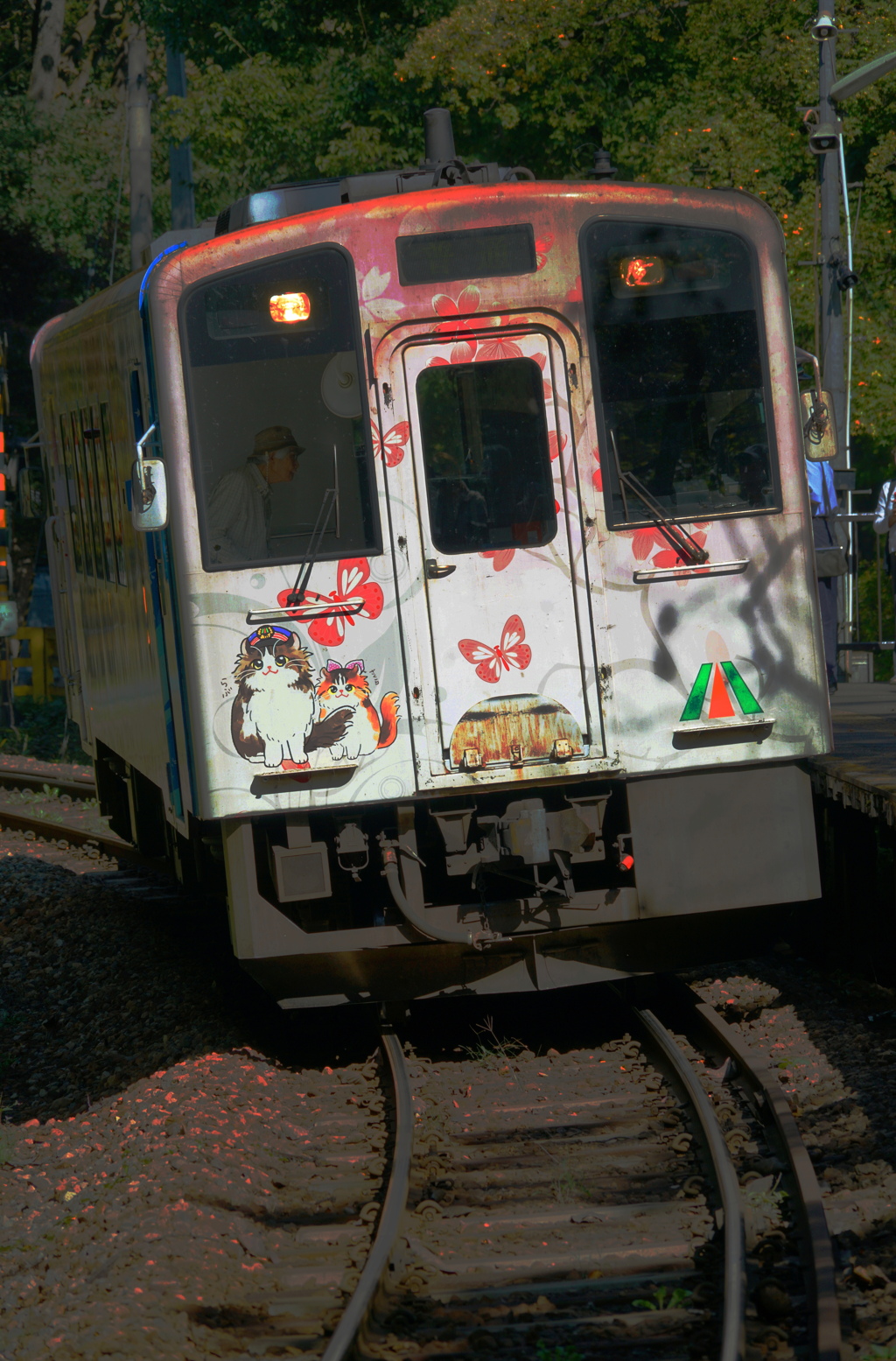 ローカル電車