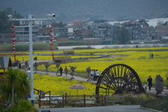 早春の散歩道