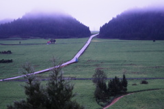 道
