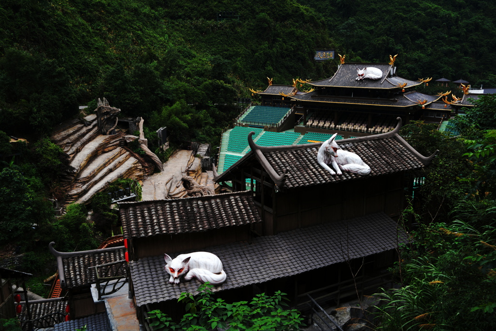 屋根の上の白狐