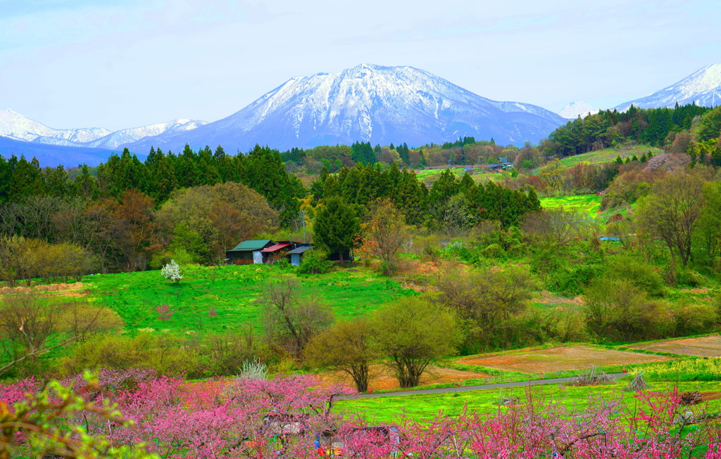 春の里山