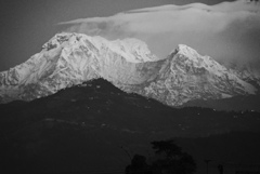 ブラック＆ホワイト