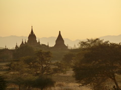 夕景の仏塔