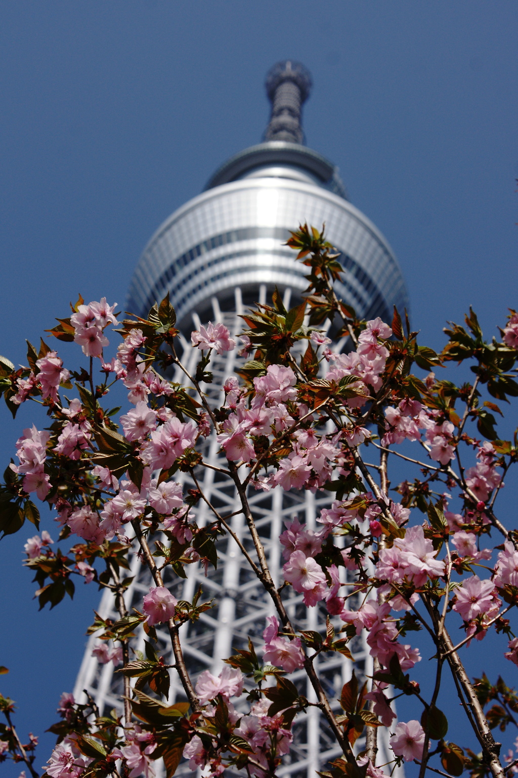 空を見上げて
