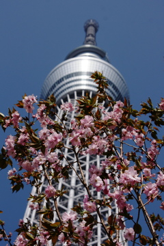 空を見上げて