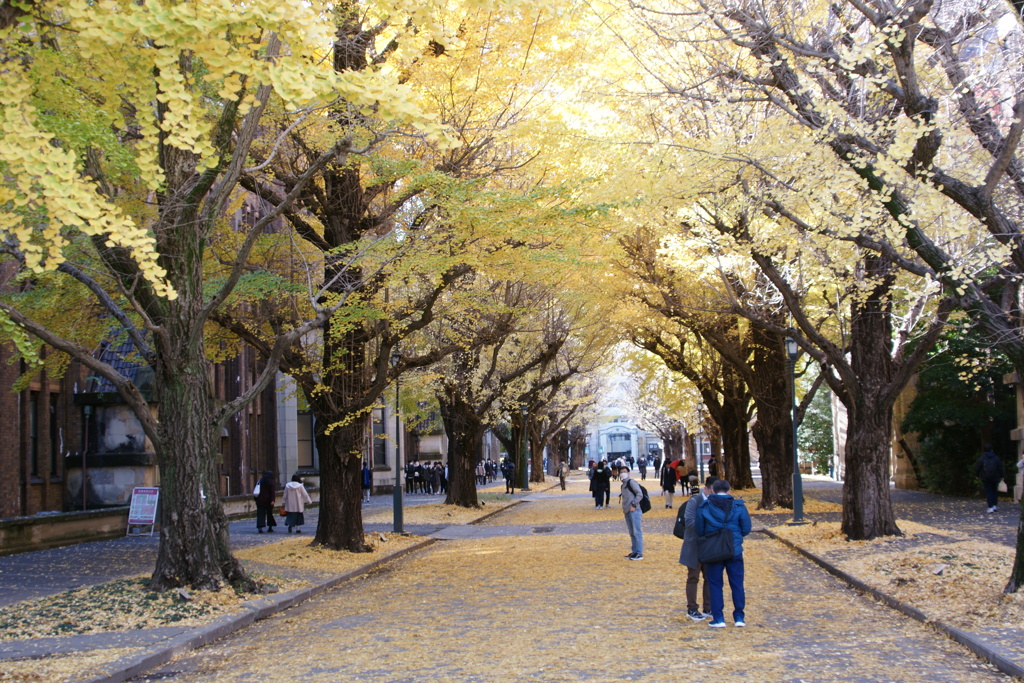 東京大学構内