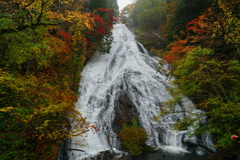 日光湯滝 日光湯滝