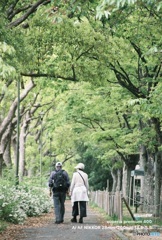 夫婦円満